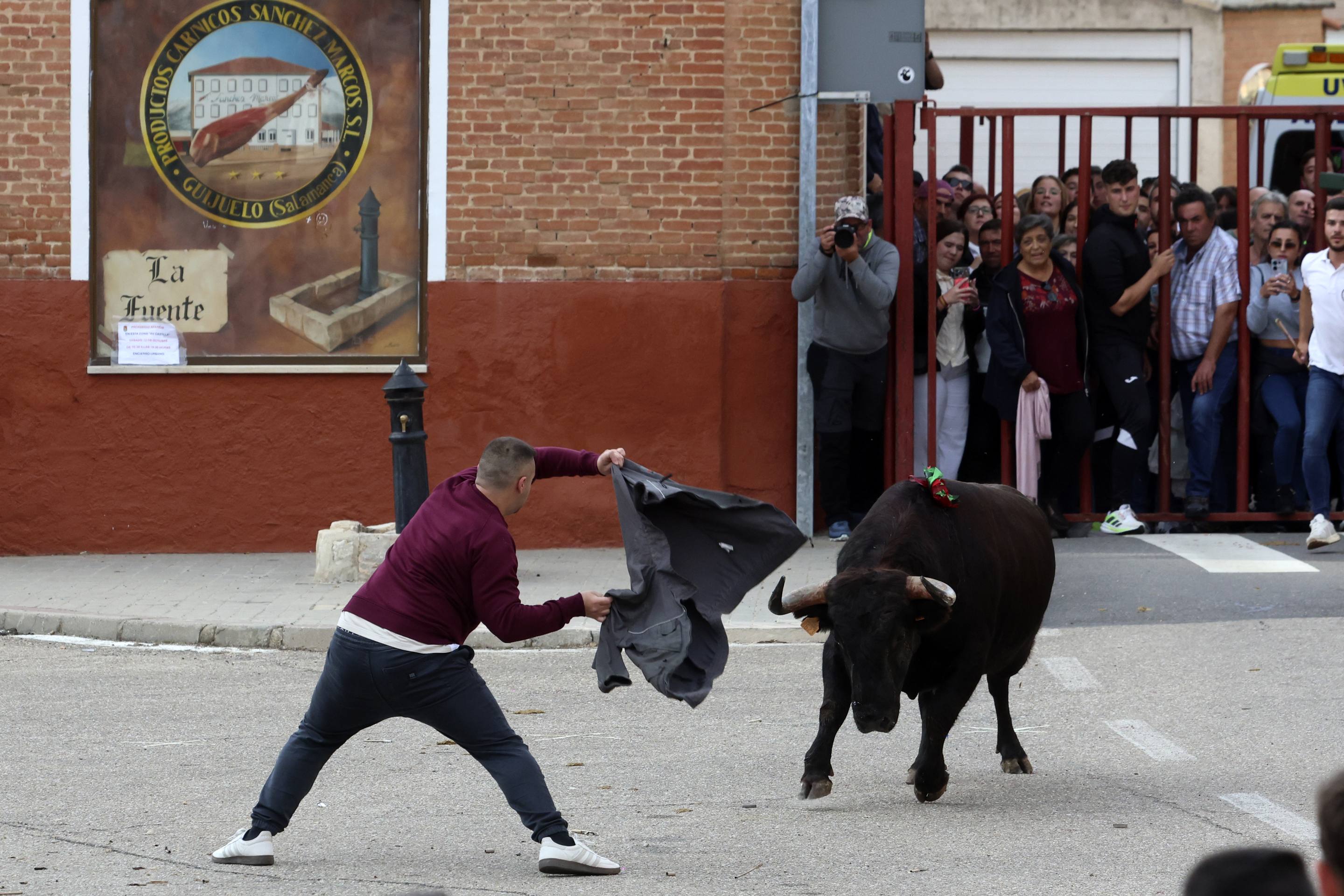 El Toro de la Vendimia de Rueda, en imágenes