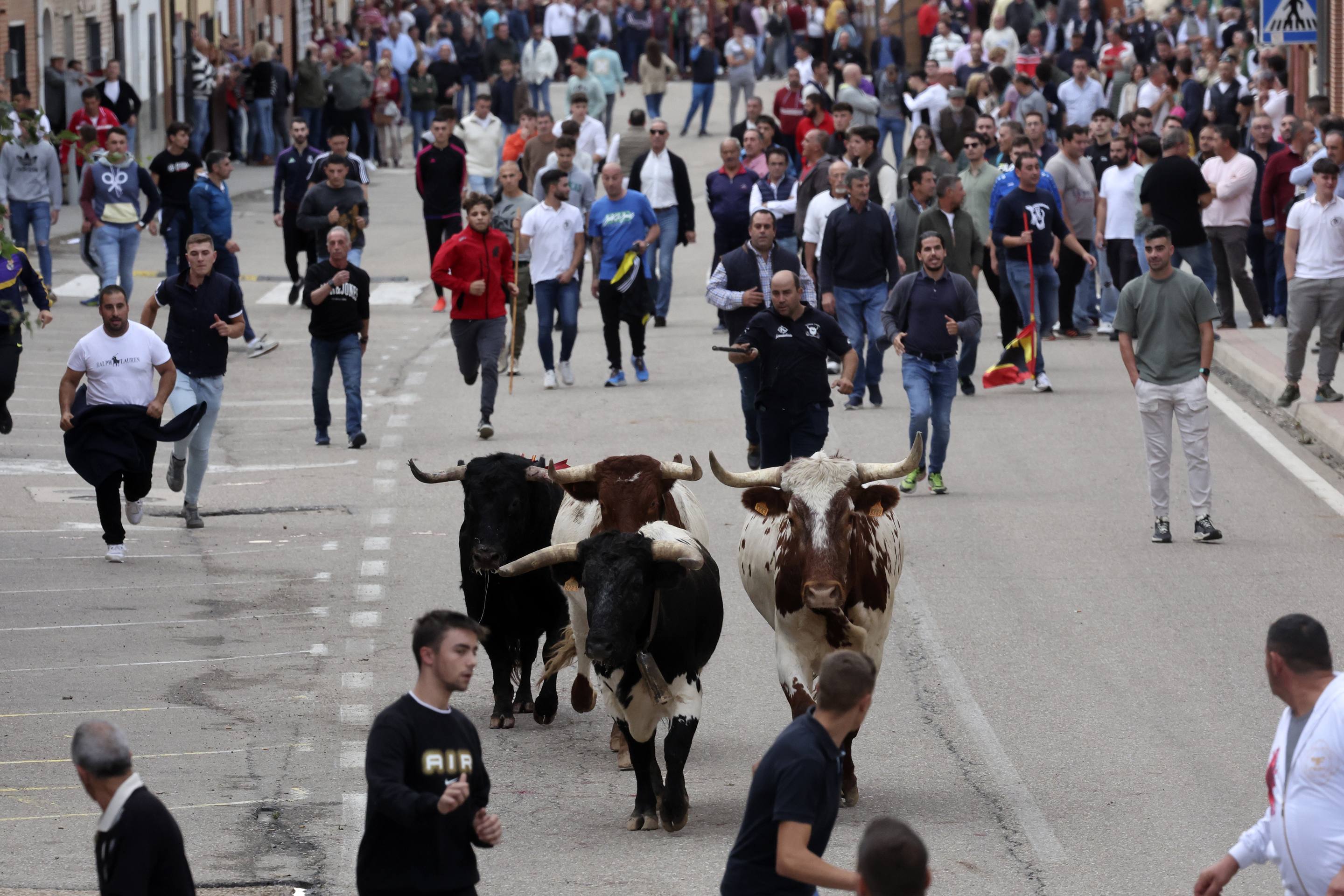 El Toro de la Vendimia de Rueda, en imágenes