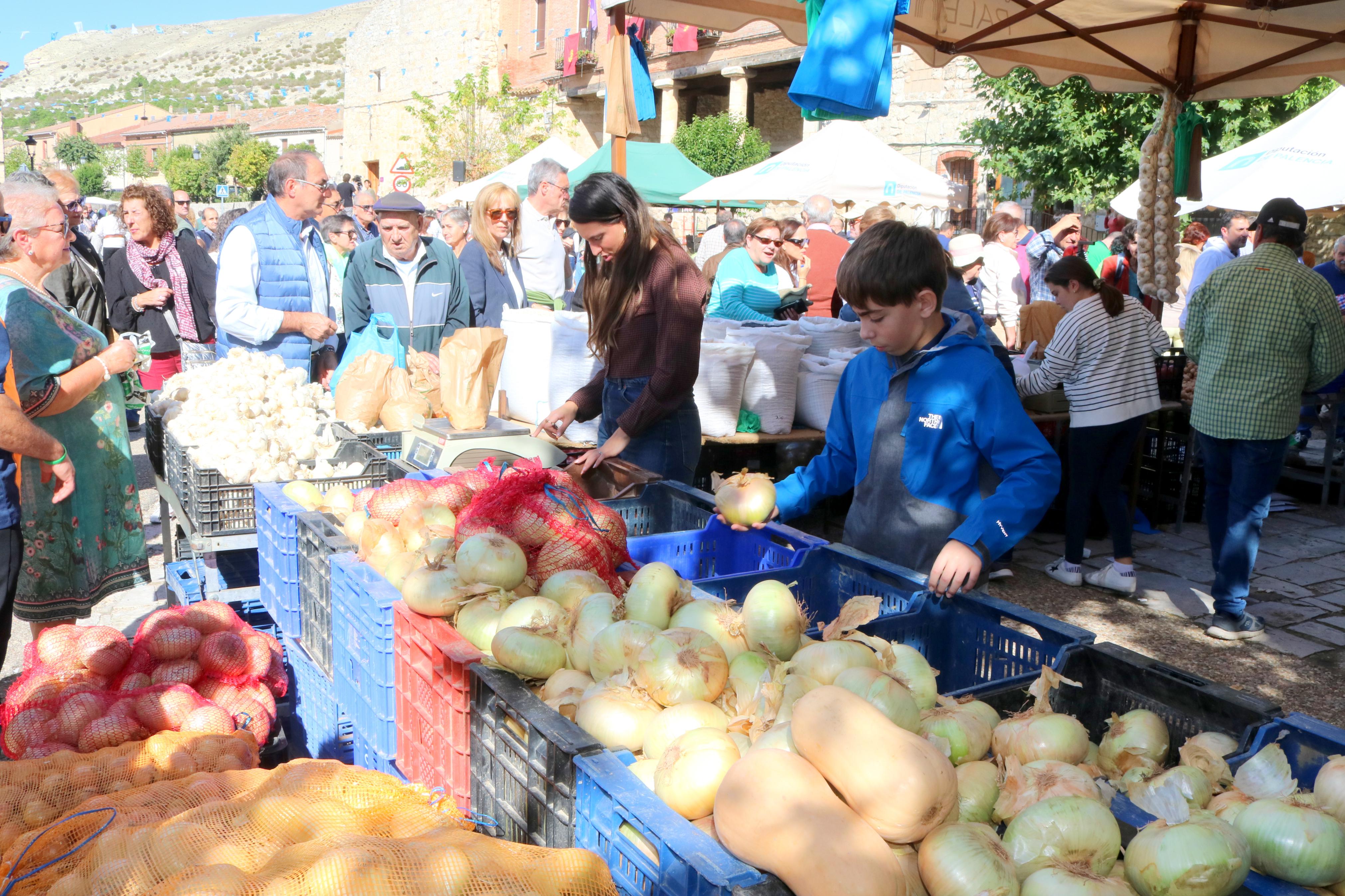 XIX Feria de la Cebolla Horcal en Palenzuela