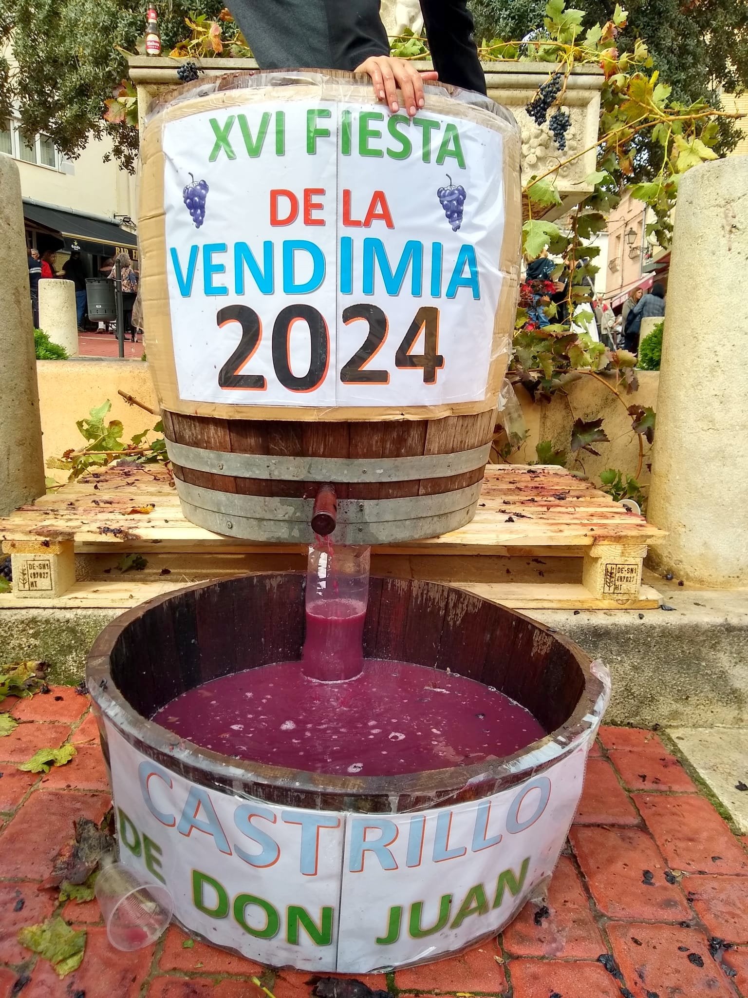 XVI Fiesta de la Vendimia en Castrillo de Don Juan