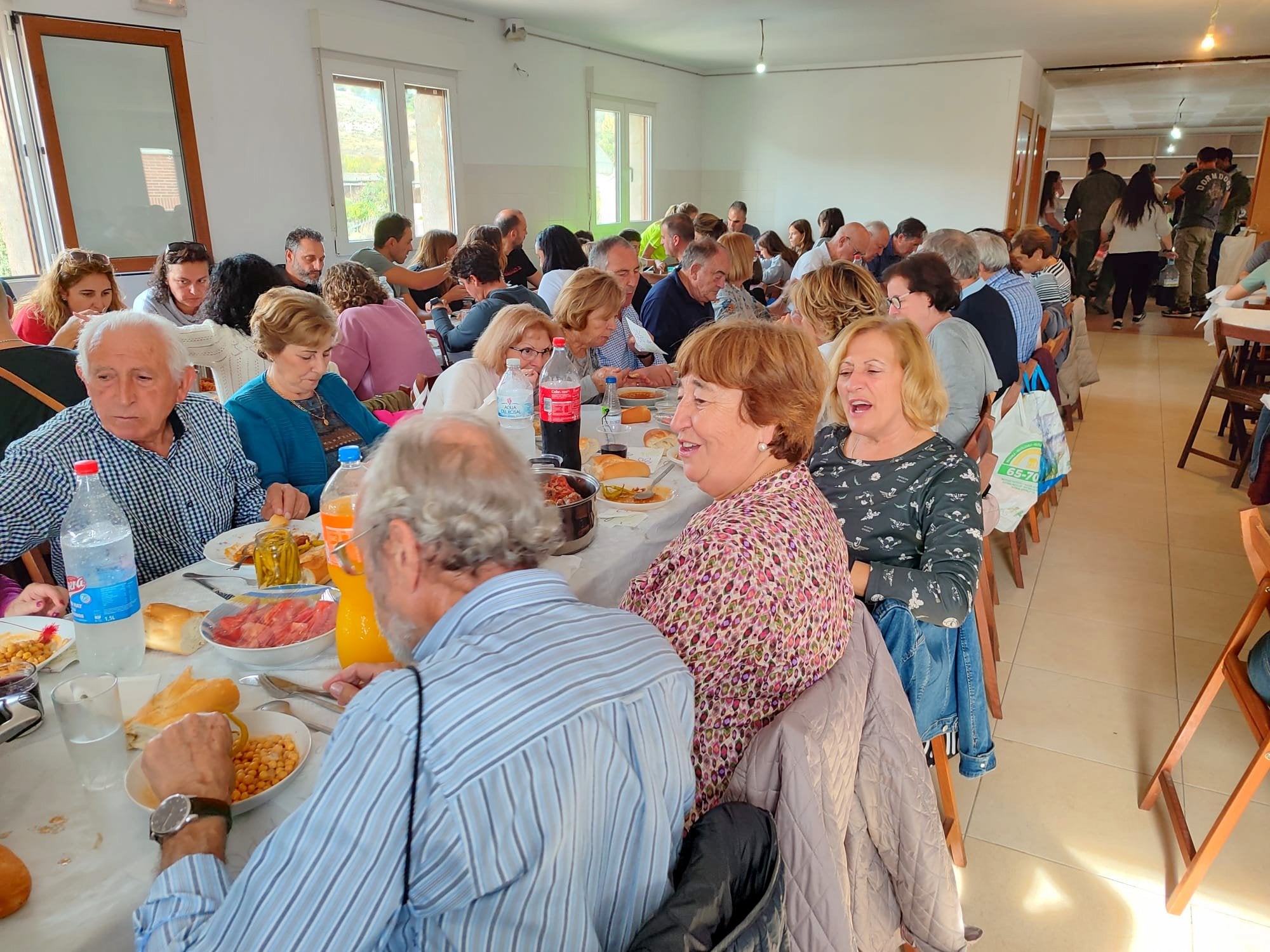 XVI Fiesta de la Vendimia en Castrillo de Don Juan