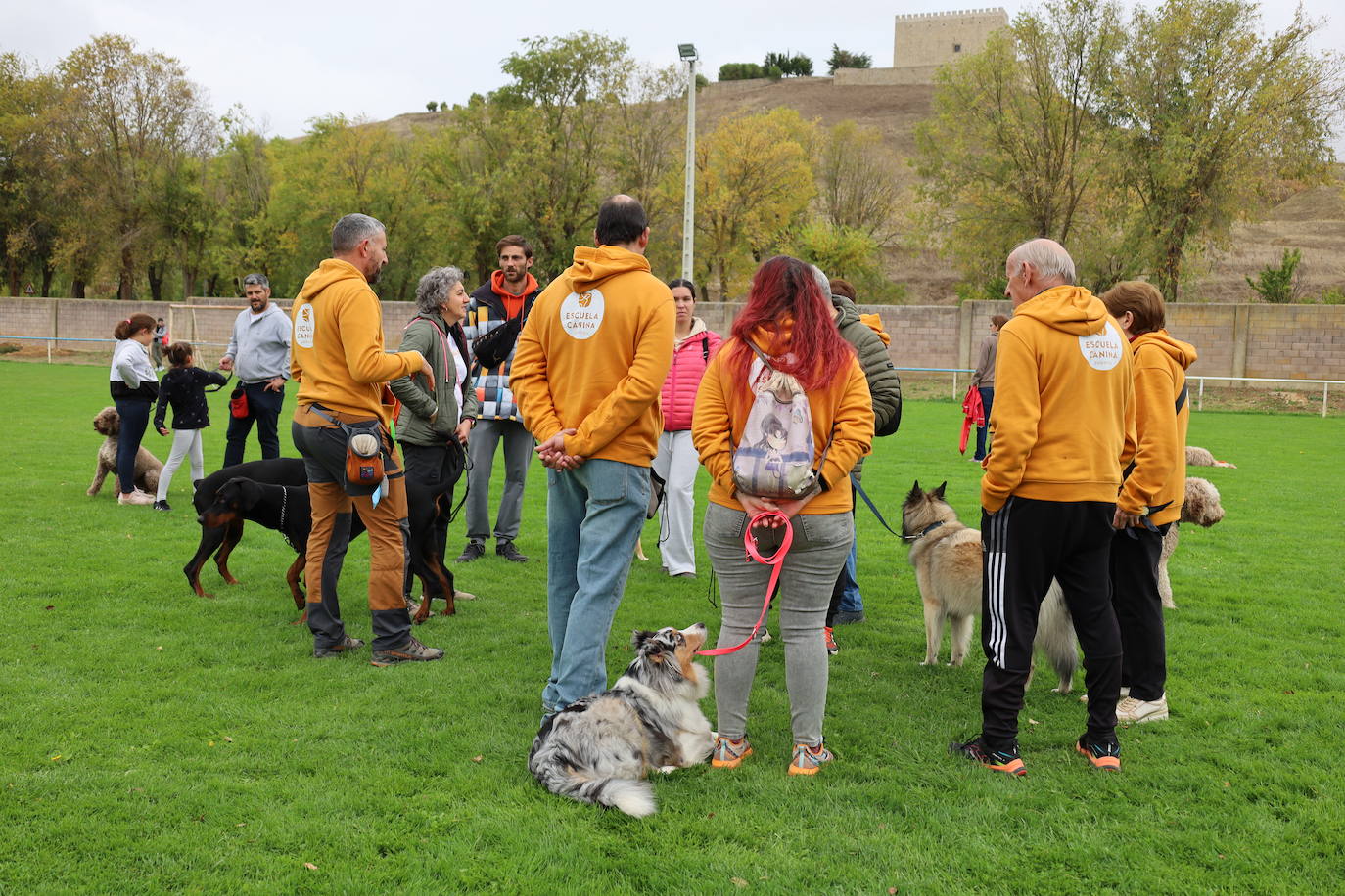 Concurso de mastines y perros de agua en Monzón