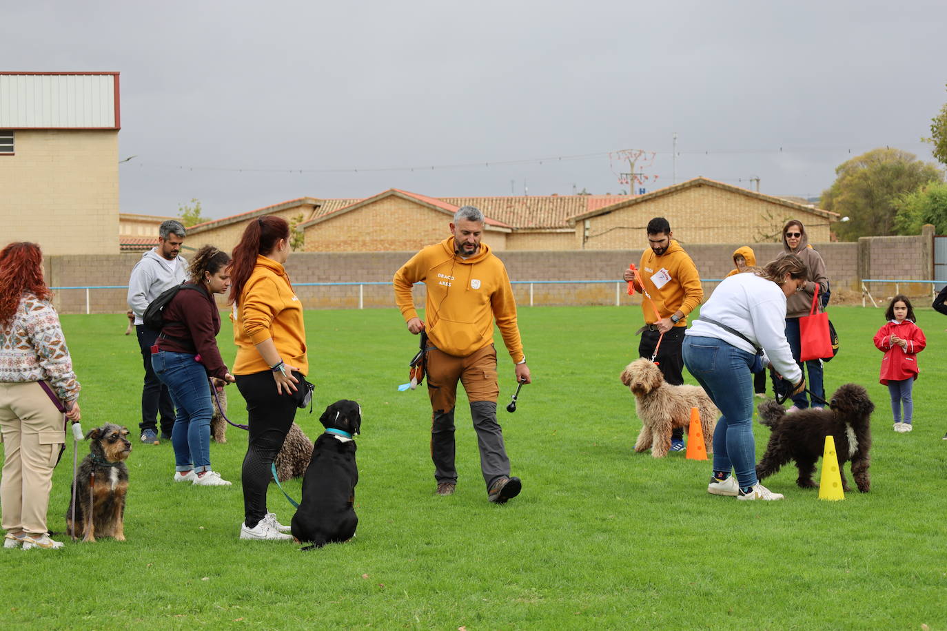 Concurso de mastines y perros de agua en Monzón