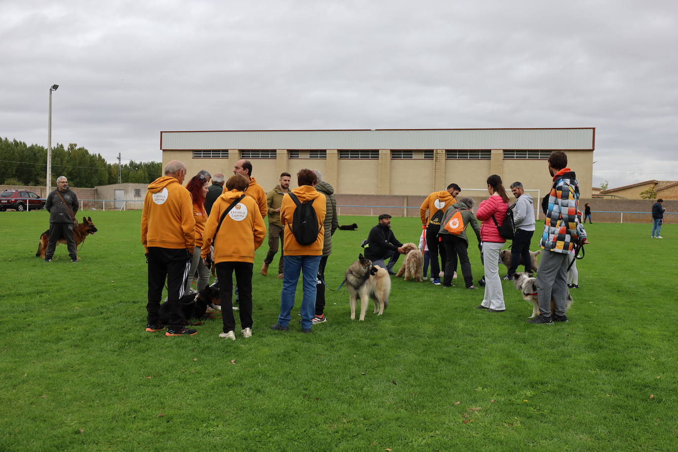 Concurso de mastines y perros de agua en Monzón