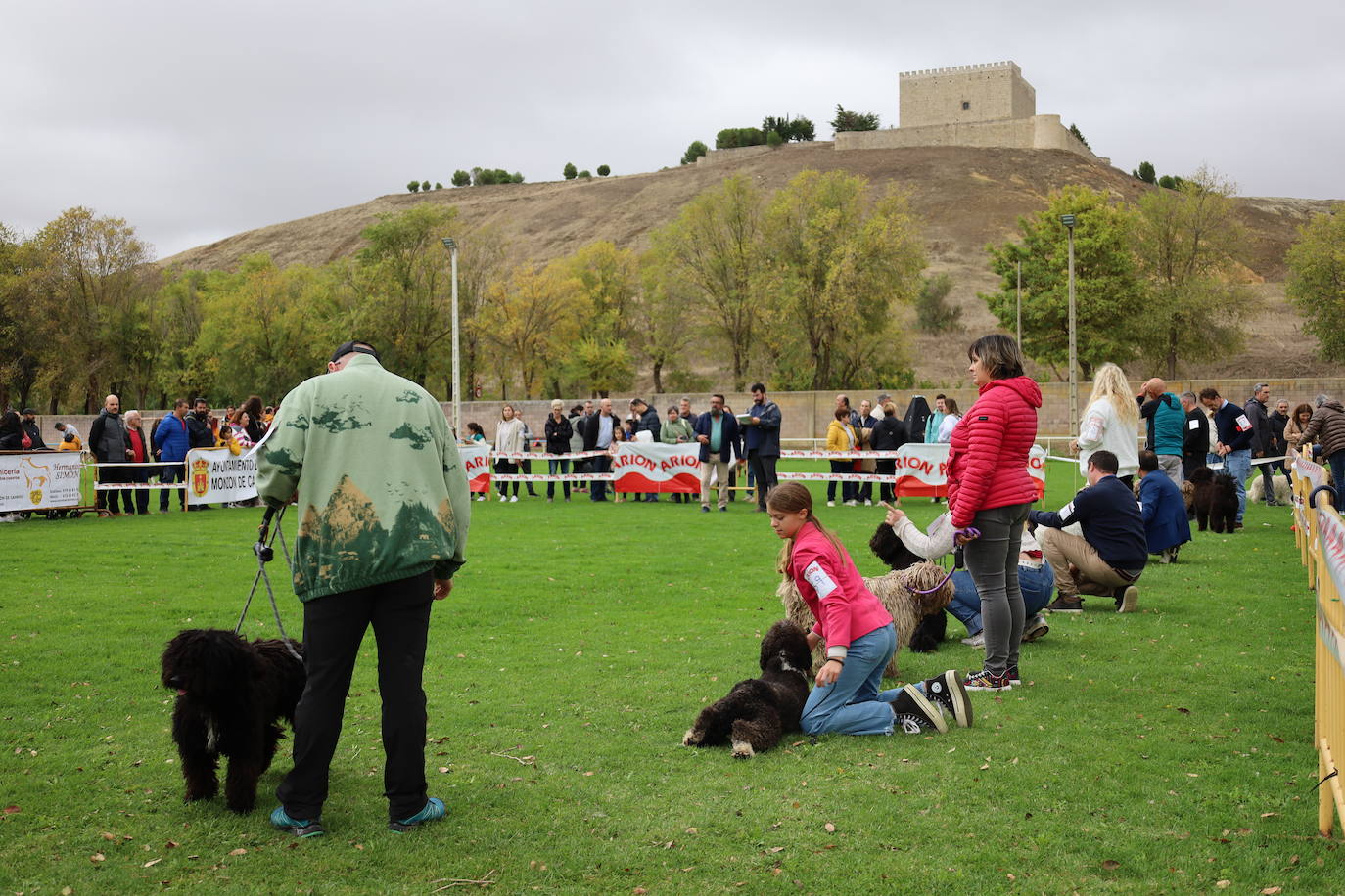 Concurso de mastines y perros de agua en Monzón