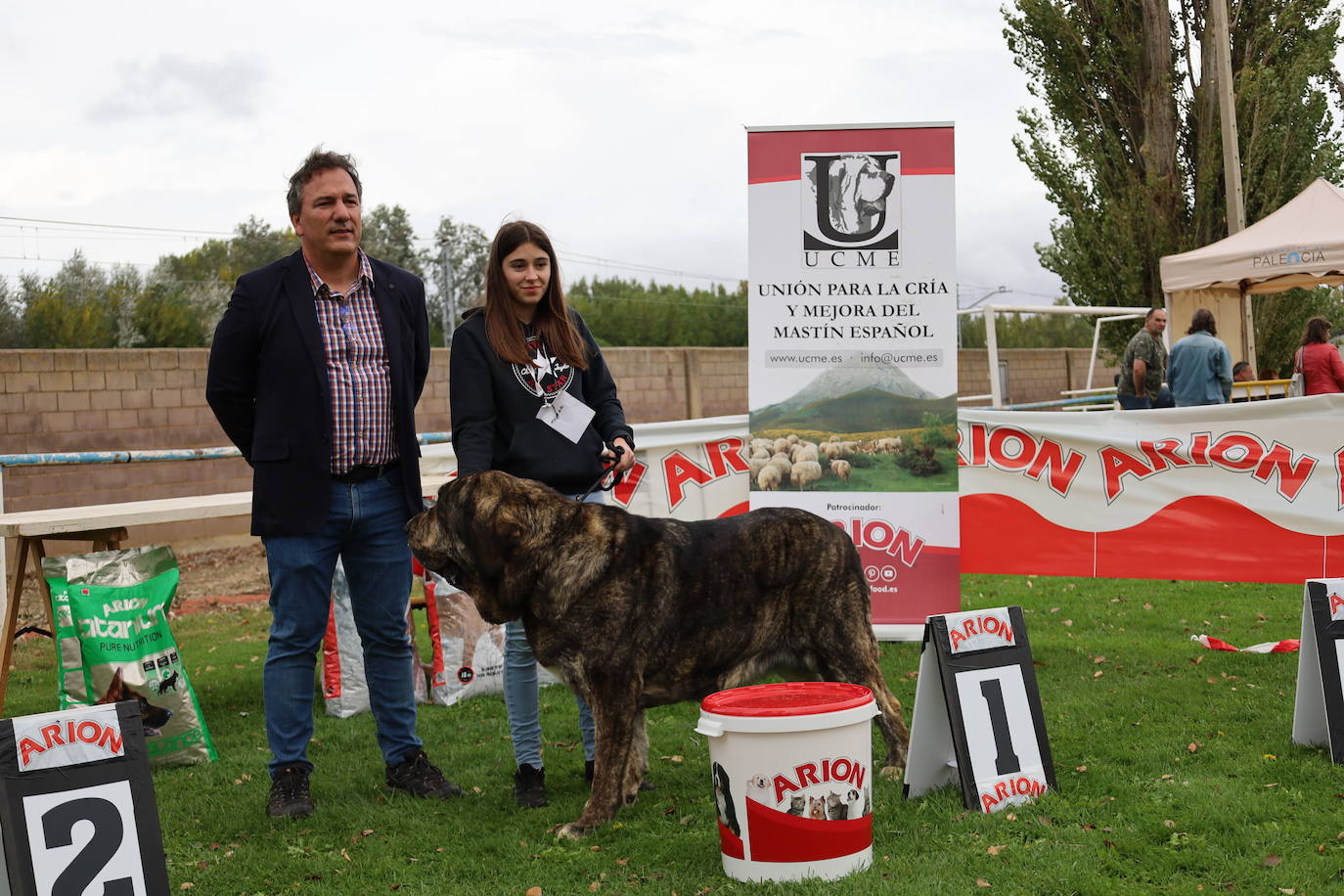 Concurso de mastines y perros de agua en Monzón