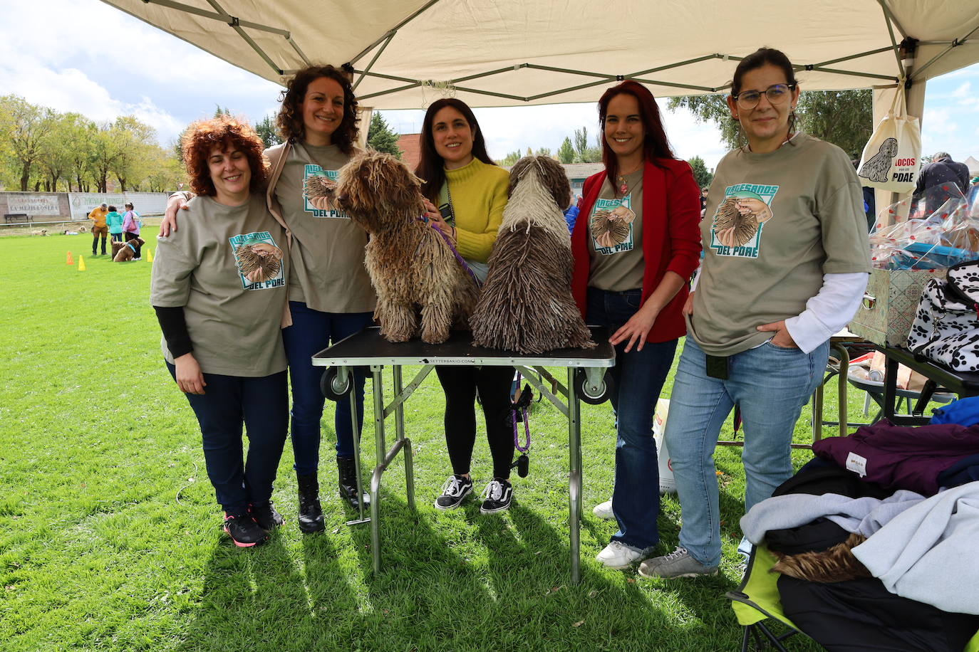 Concurso de mastines y perros de agua en Monzón