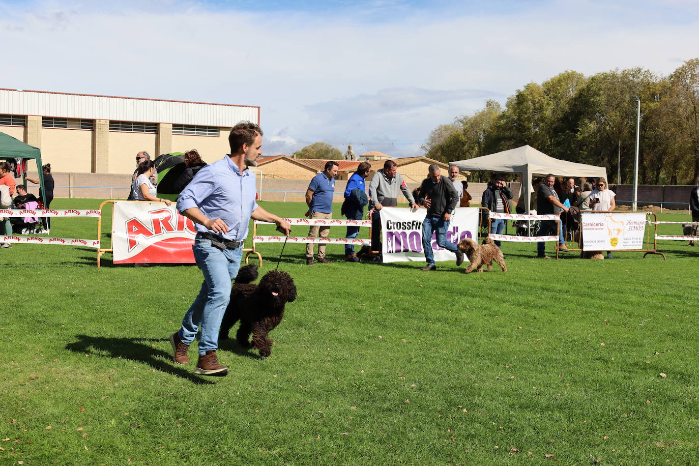 Concurso de mastines y perros de agua en Monzón