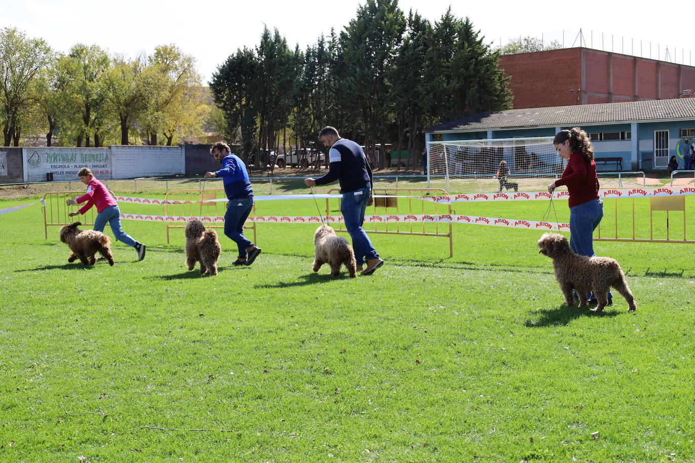 Concurso de mastines y perros de agua en Monzón