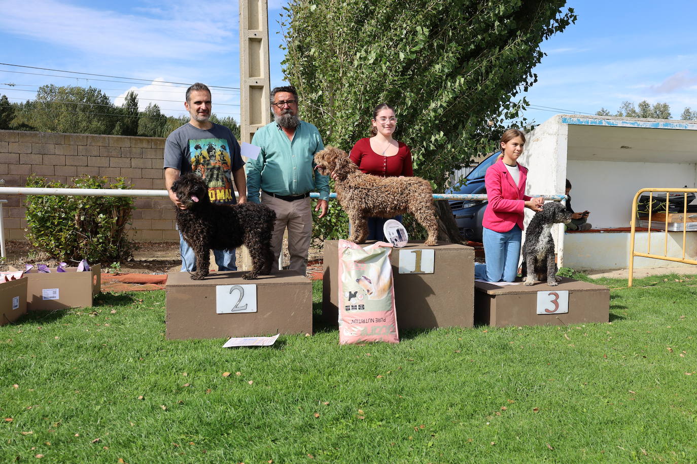 Concurso de mastines y perros de agua en Monzón