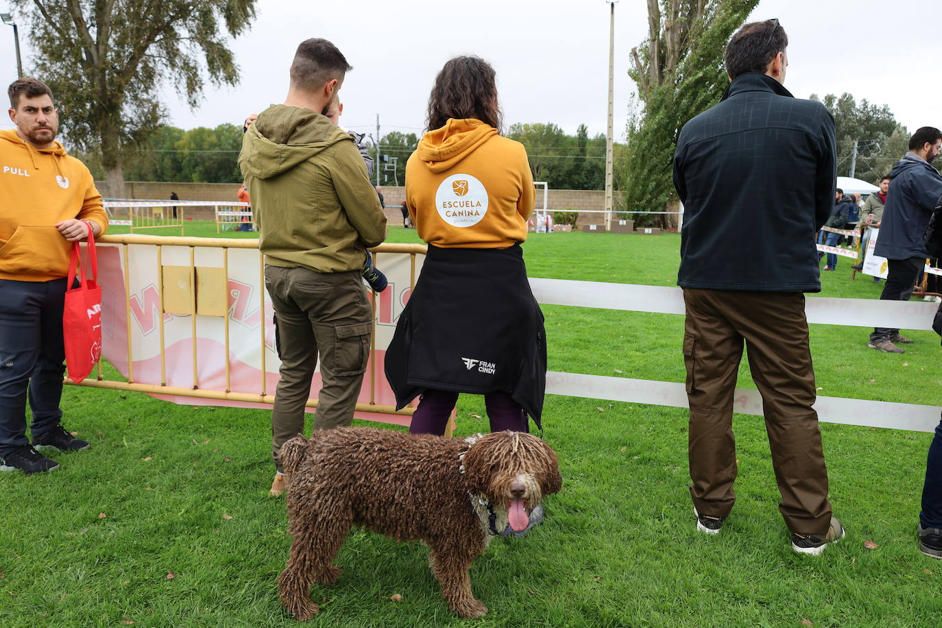 Concurso de mastines y perros de agua en Monzón