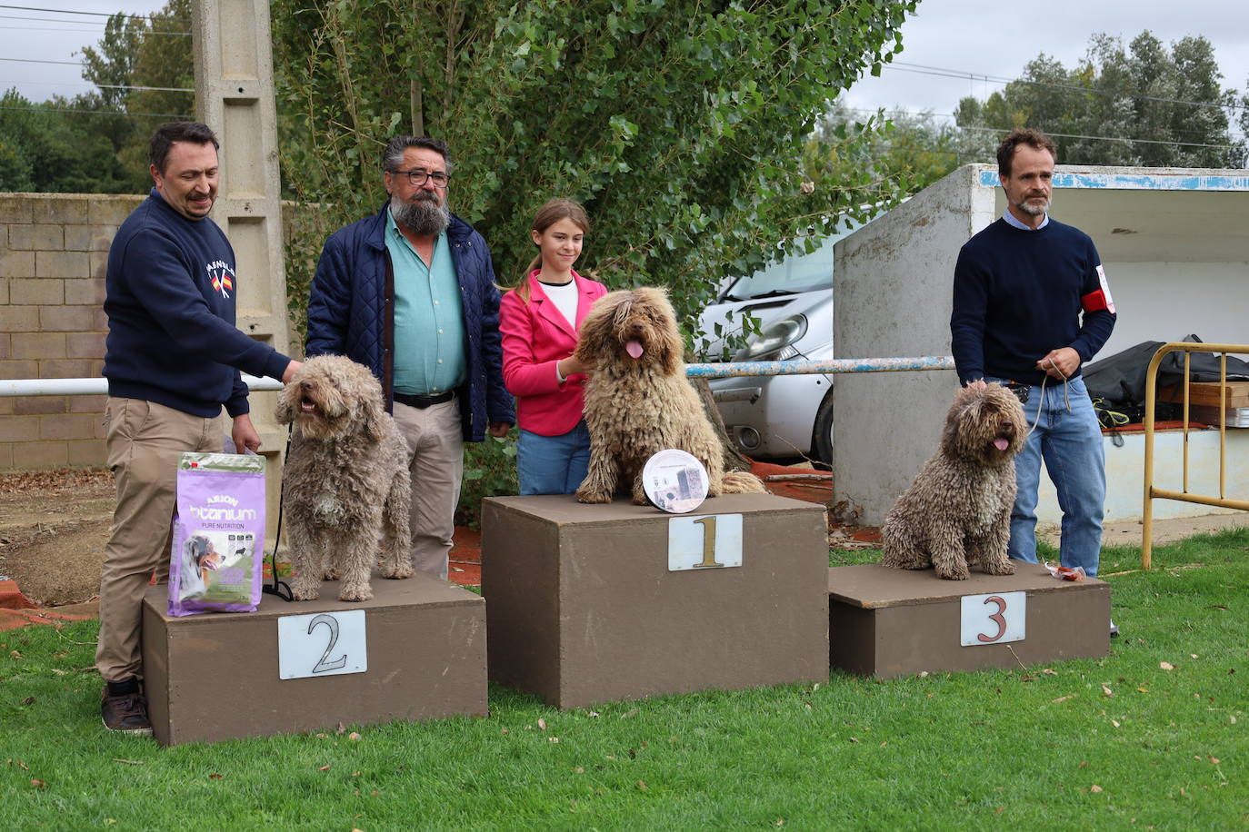 Concurso de mastines y perros de agua en Monzón