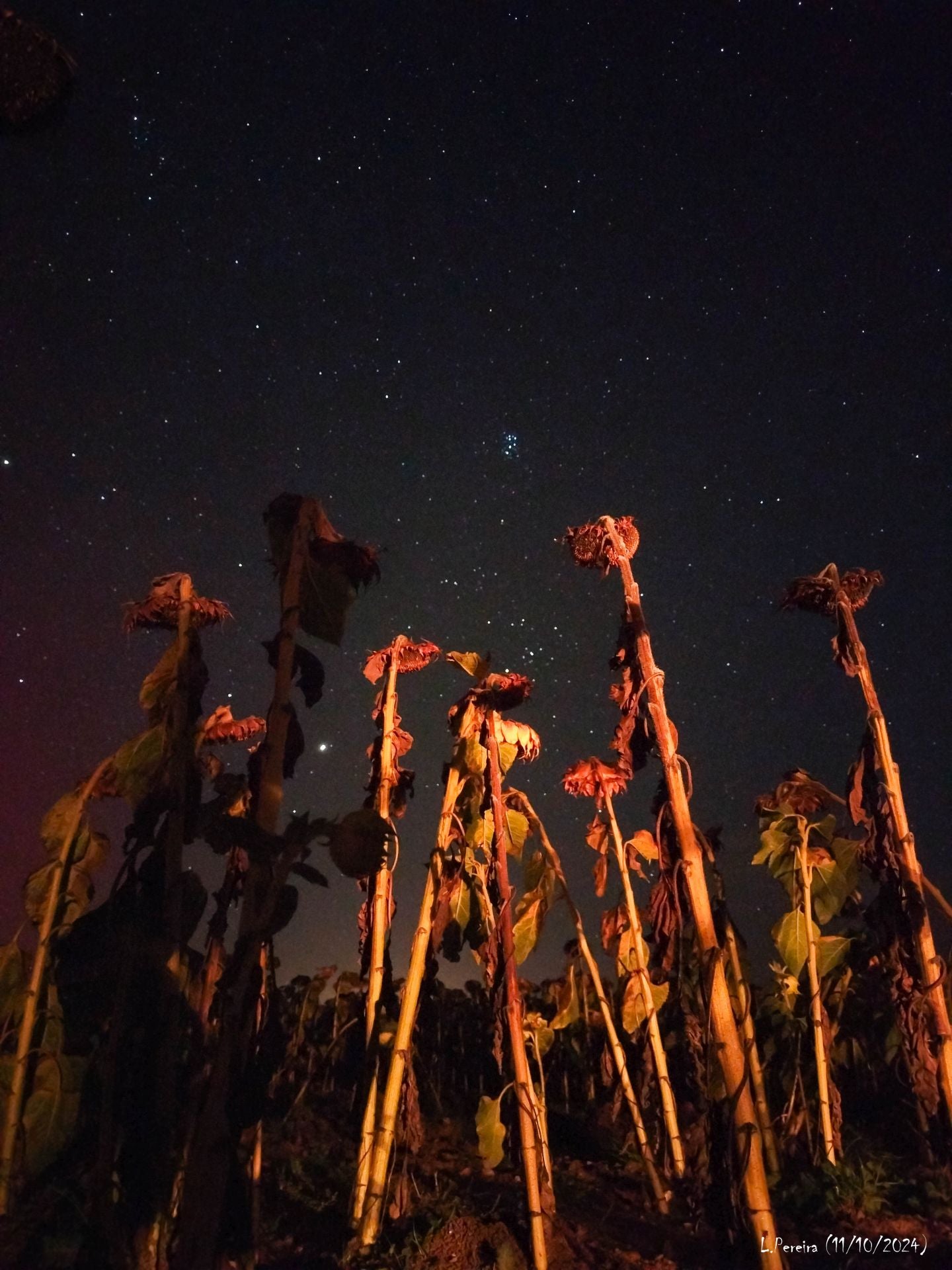 Frómista también fue testigo de la aurora boreal