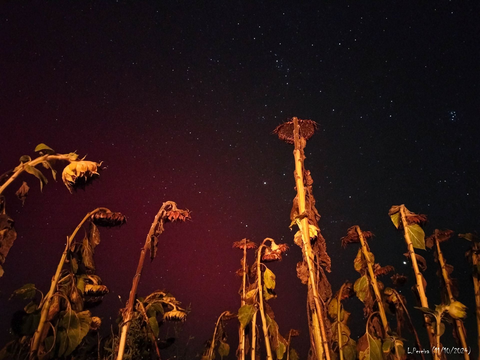 Frómista también fue testigo de la aurora boreal