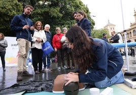 Taller de RCP celebrado en la plaza de Zorrilla.