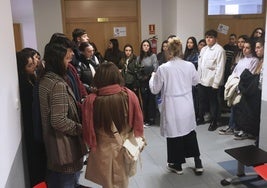 Jornada de puertas abiertas en la Facultad de Medicina de la Universidad de Valladolid, el pasado mes de febrero.