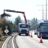 La VA-20 reverdecerá con más de 40.000 árboles y arbustos en sus 8,5 kilómetros