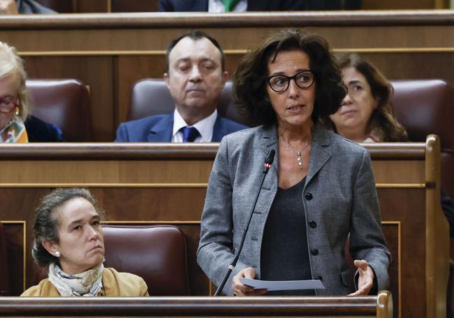 Mercedes Cantalapiedra (PP), durante su intervención en el Congreso este miércoles.