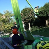 Jardines y Limpieza se coordinan para retirar las 1.600 toneladas de hojas con más rapidez