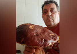 Pedro Fernández, con el boletus de 2,8 kilos encontrado en los montes de León.