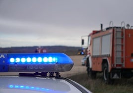 Guardia Civil y Bomberos de la Diputación.