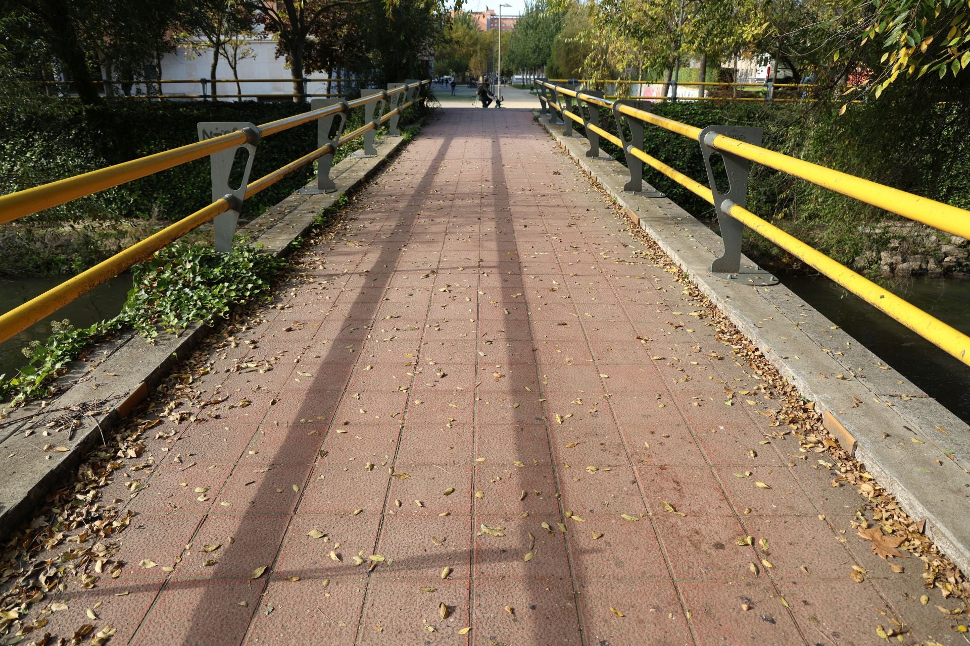 Un paseo en imágenes por el Paseo del Cauce