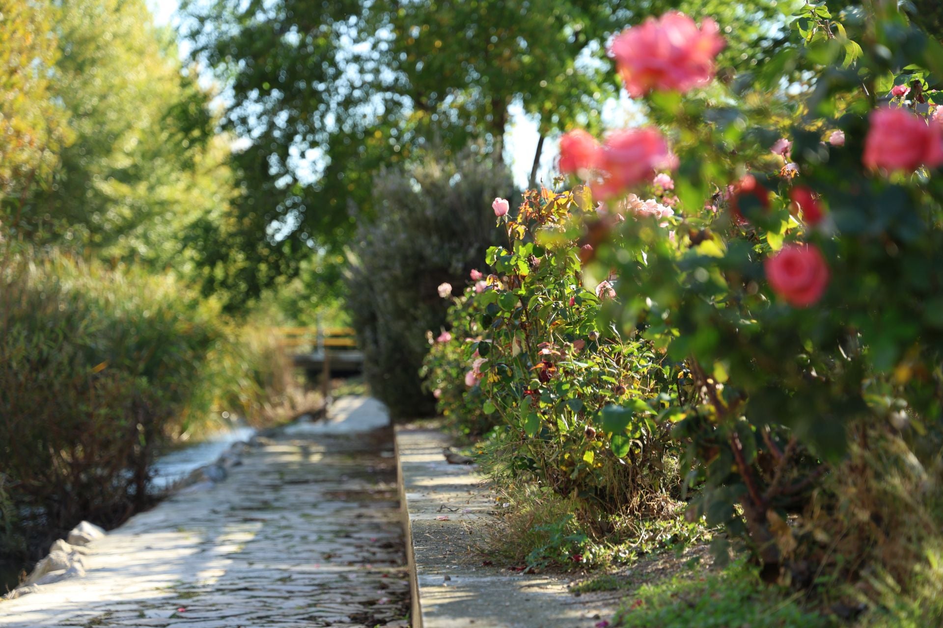 Un paseo en imágenes por el Paseo del Cauce