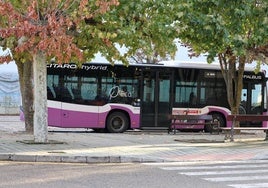 Autobús urbano, este domingo junto al cementerio.