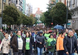 Todas las imágenes de la XIII Marcha contra el cáncer en Valladolid (1/3)