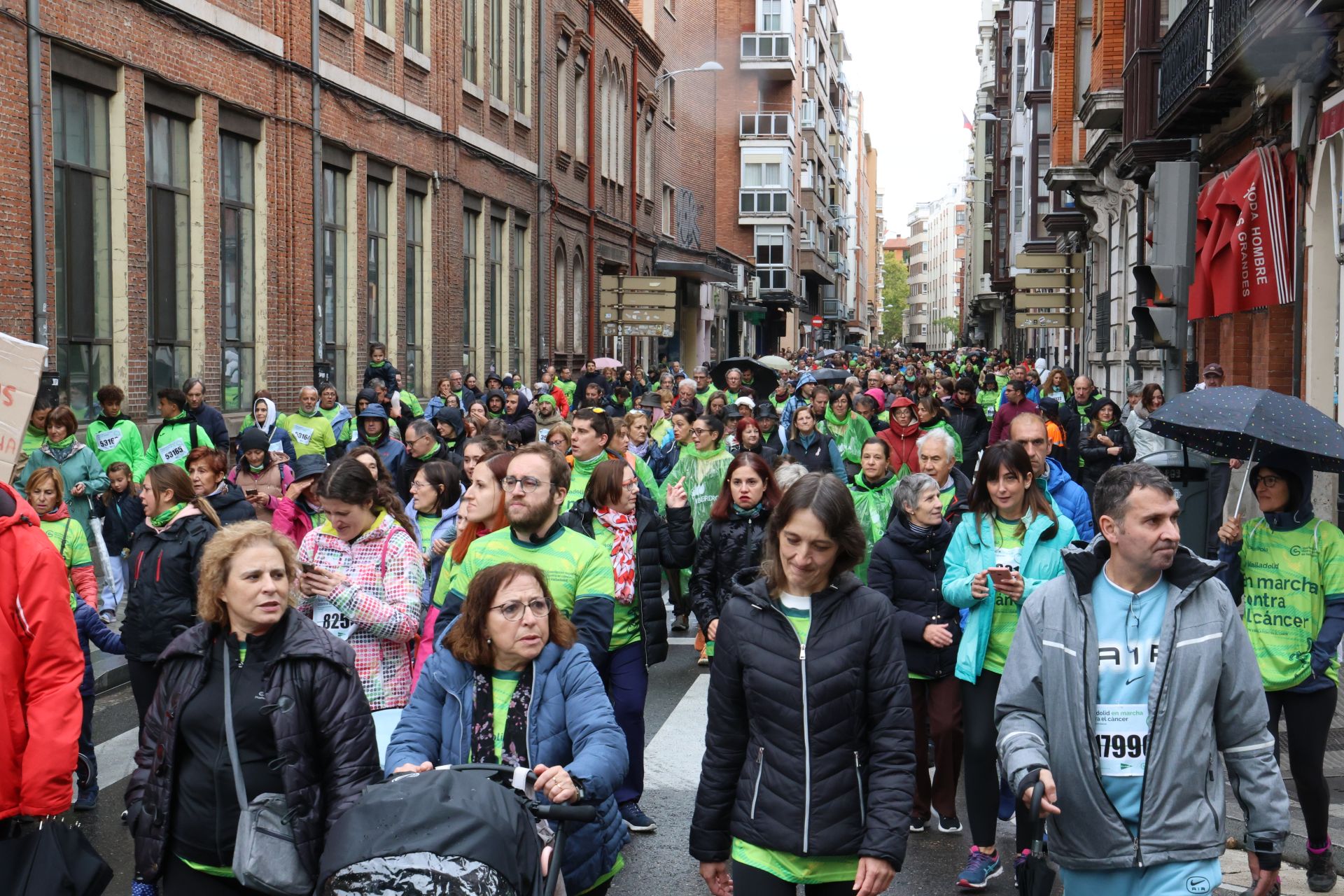 Todas las imágenes de la XIII Marcha contra el cáncer en Valladolid (1/3)