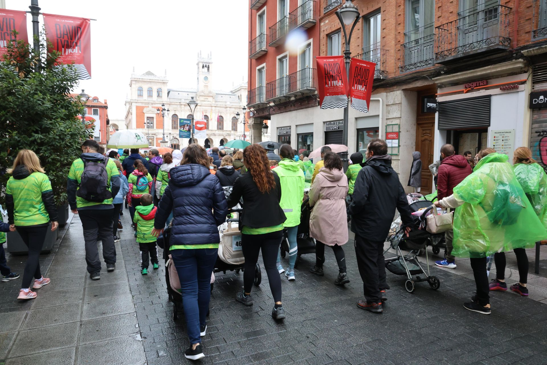 Todas las imágenes de la XIII Marcha contra el cáncer en Valladolid (2/3)