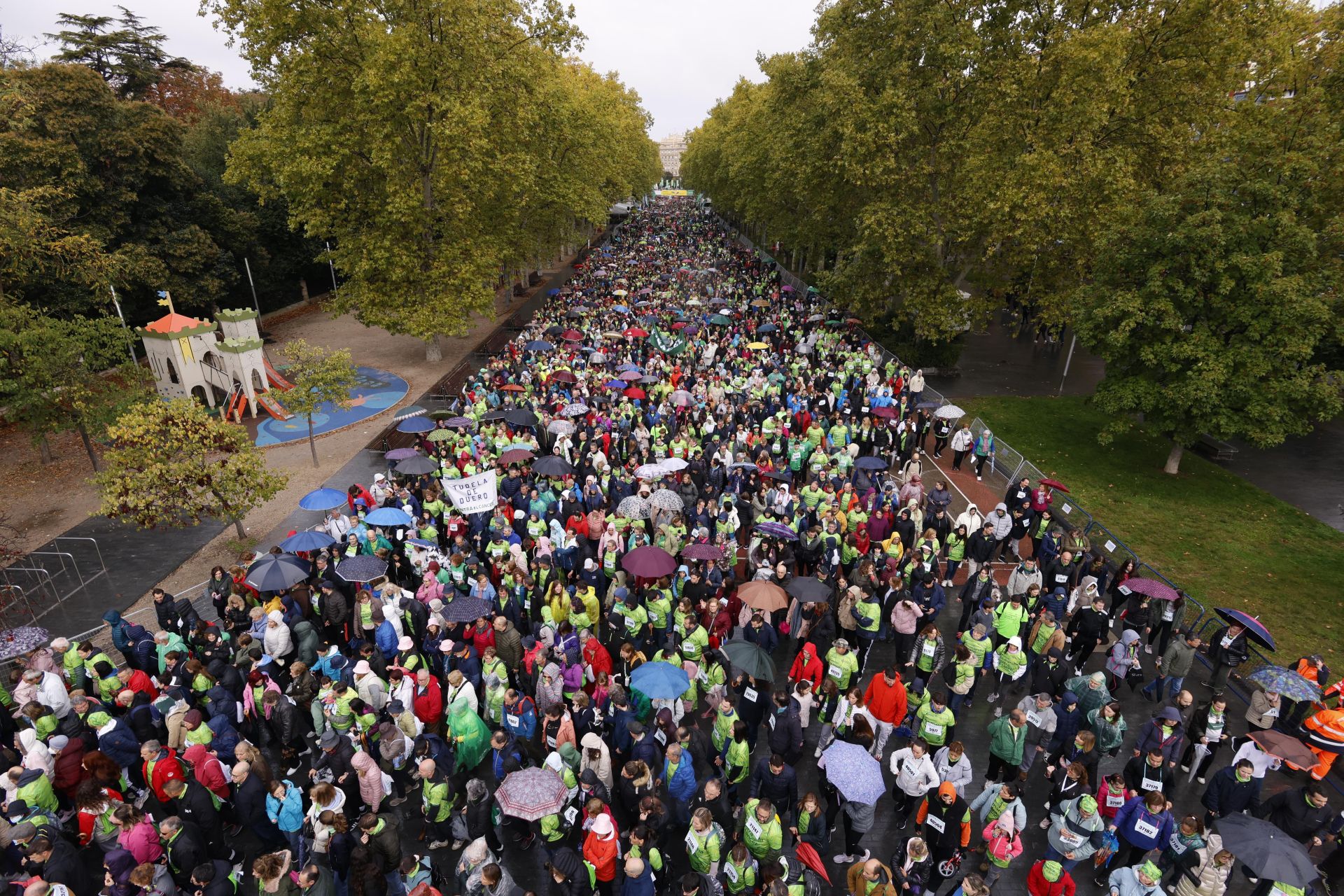 Todas las imágenes de la XIII Marcha contra el cáncer en Valladolid (3/3)