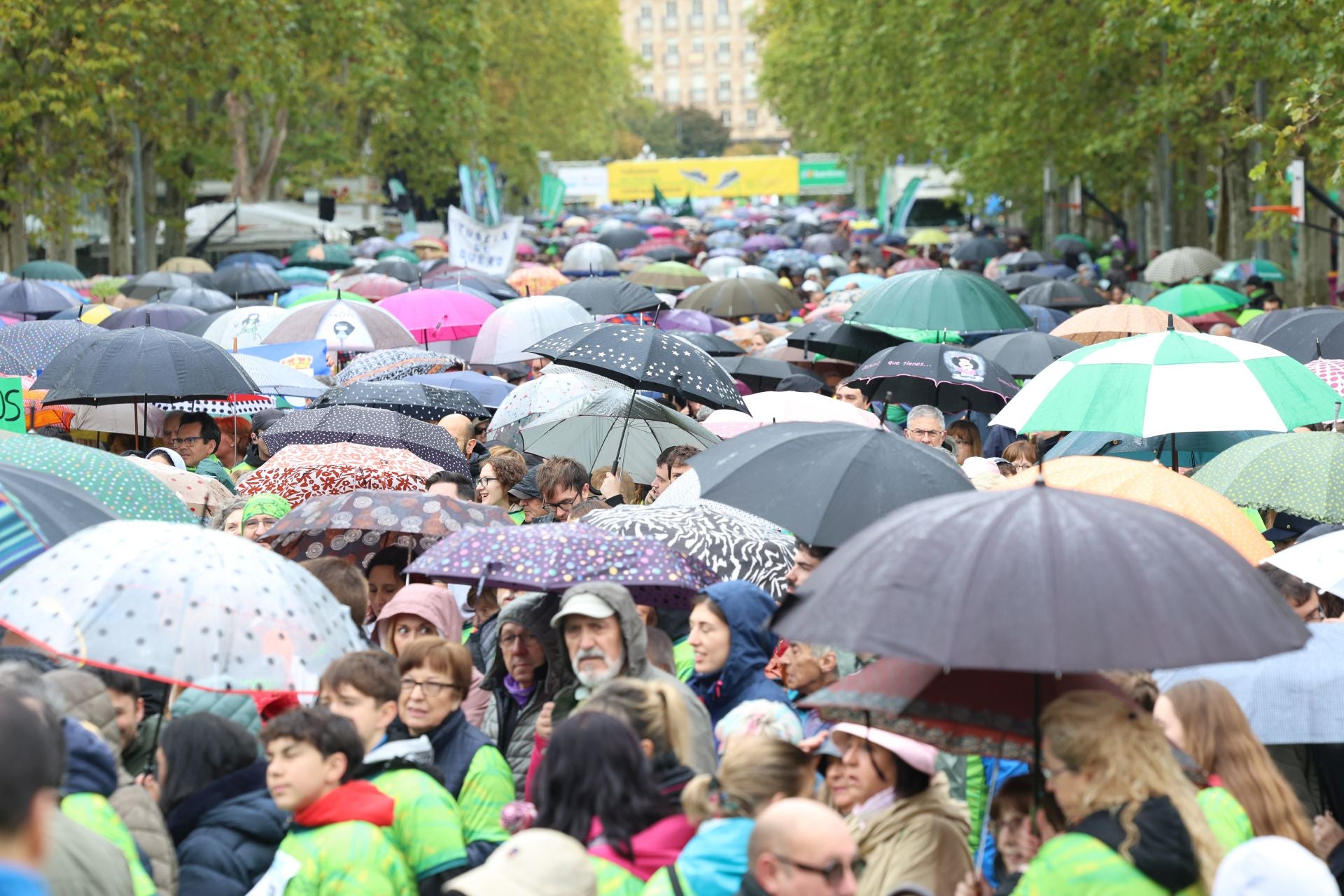 Todas las imágenes de la XIII Marcha contra el cáncer en Valladolid (3/3)