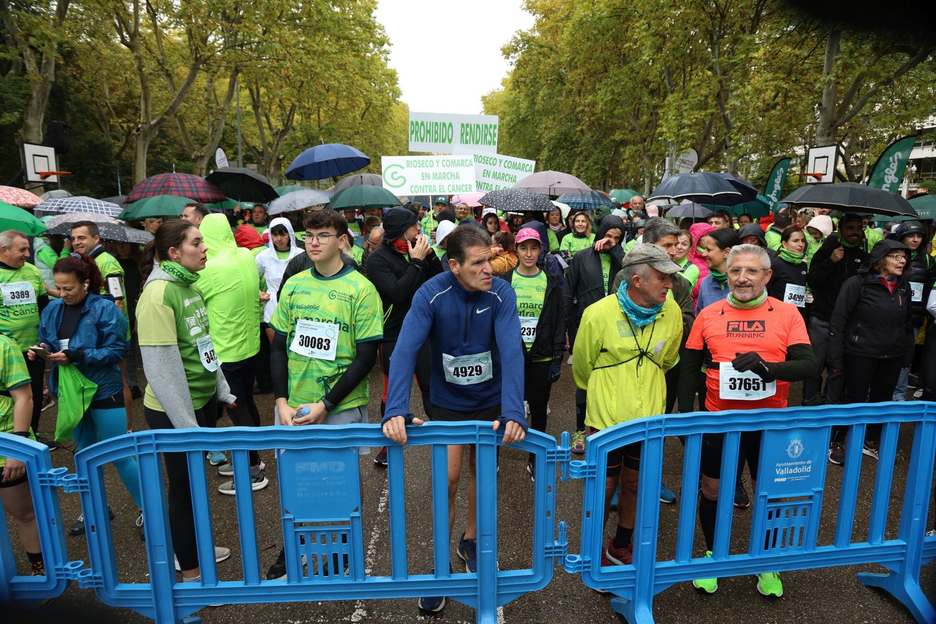 Todas las imágenes de la XIII Marcha contra el cáncer en Valladolid (3/3)