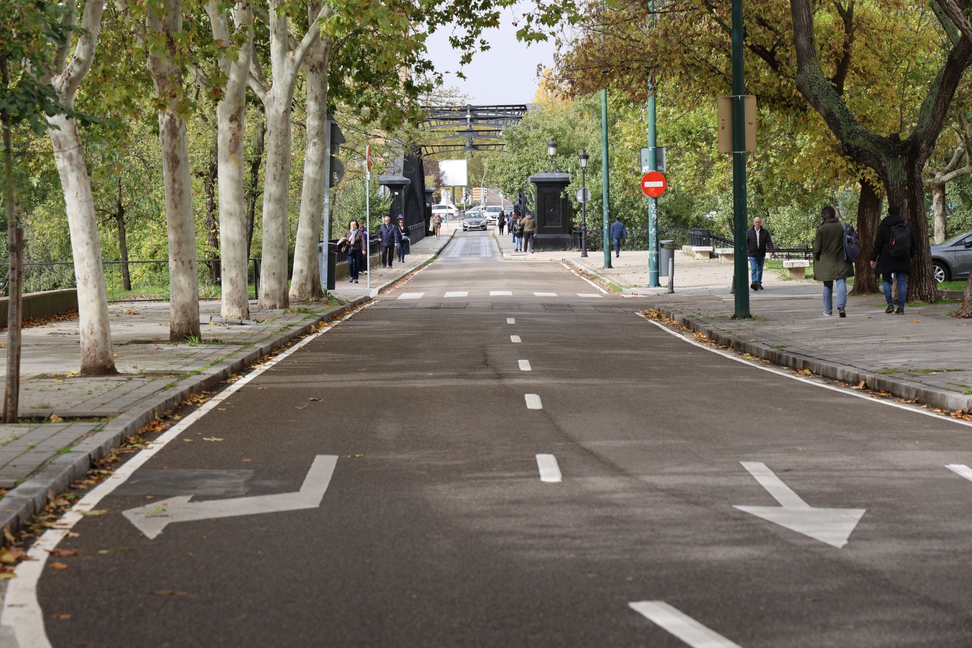 La calle Puente Colgante, en imágenes