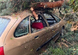 Árboles caídos sobre coches estacionados en El Espinar durante la tormenta de la madrugada del martes al miércoles.