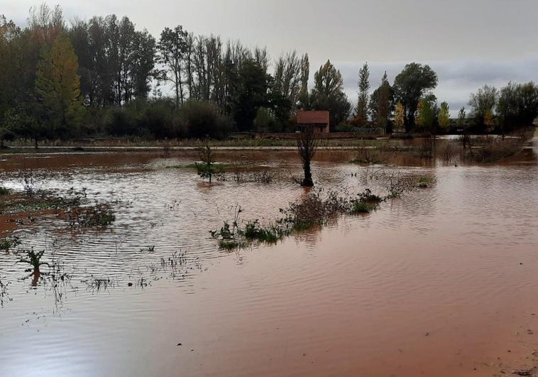 Riberas y campos anegados en las inmediaciones de Languilla, donde deriva el río Agüisejo en el Riaza.