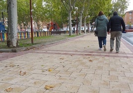 Hojas caídas en el parque de la calle Romojaro del barrio del Hospital.