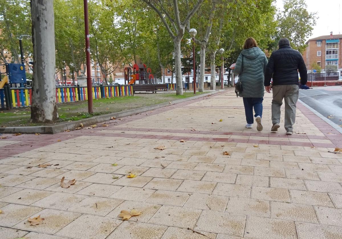 Hojas caídas en el parque de la calle Romojaro del barrio del Hospital.