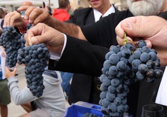 Racimos de uvas en una edición de la Feria de la Vendimia de Valtiendas.