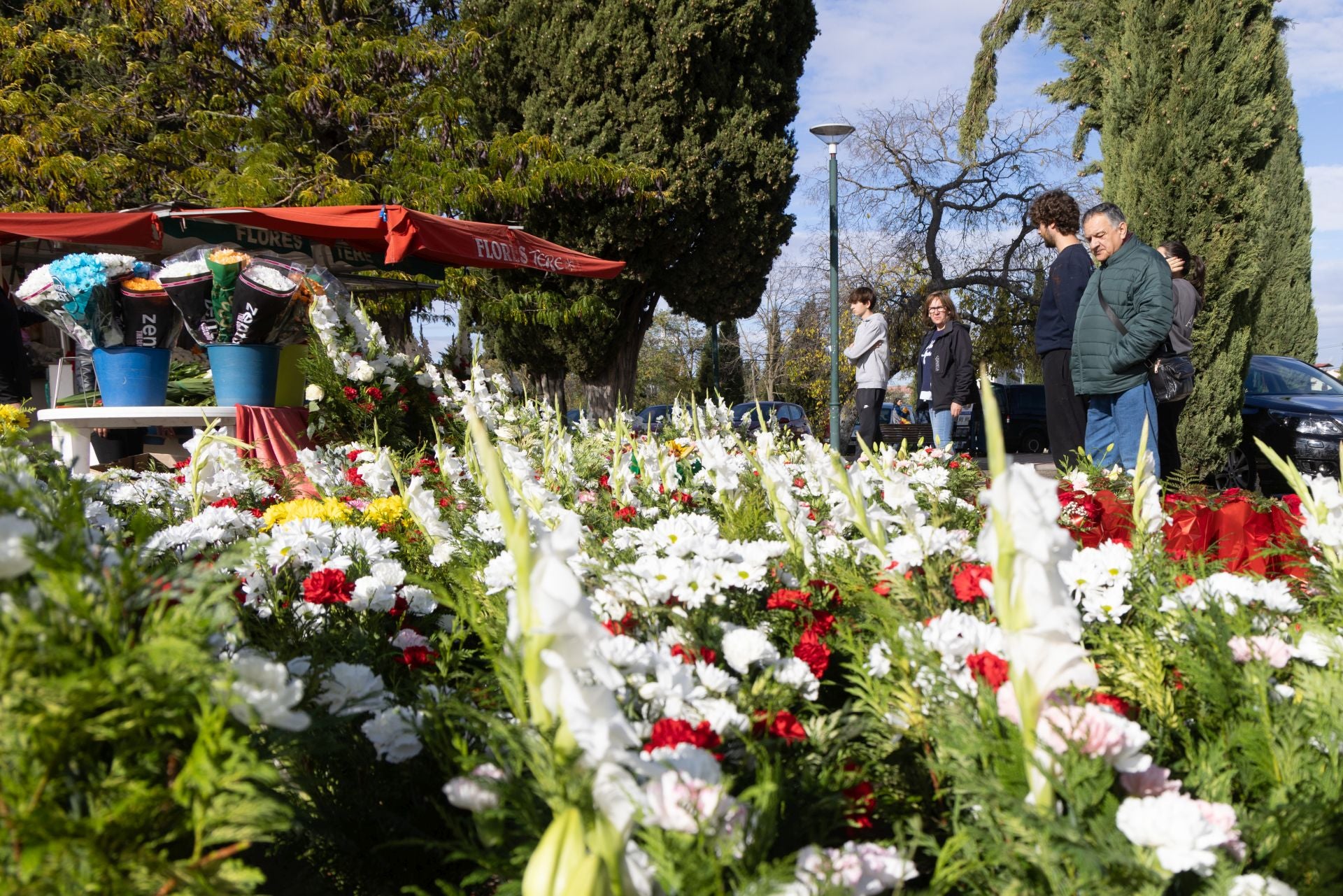 El día de Todos los Santos en Valladolid, en imágenes