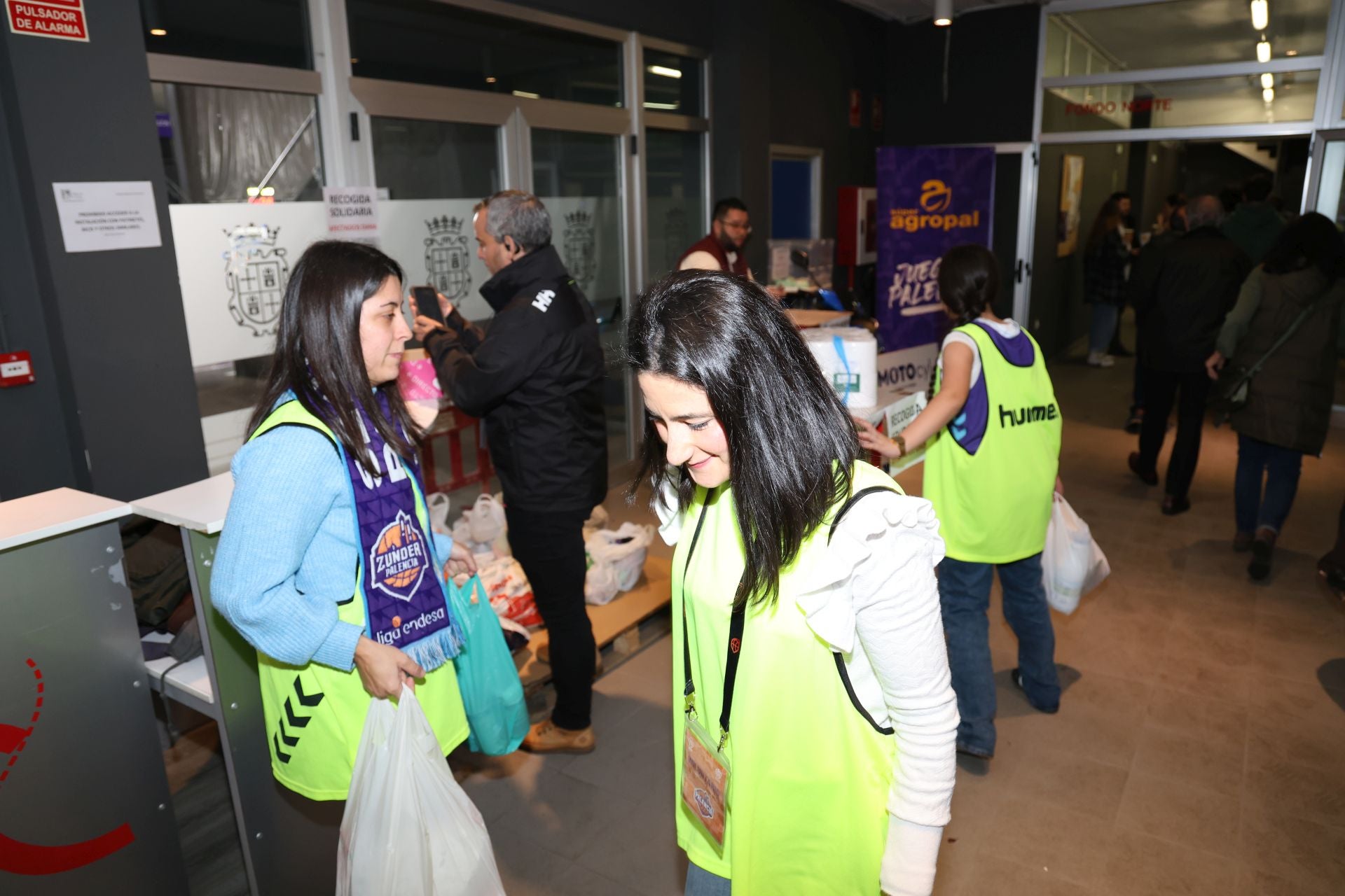 Búscate en las gradas del Súper Agropal Palencia-HLA Alicante