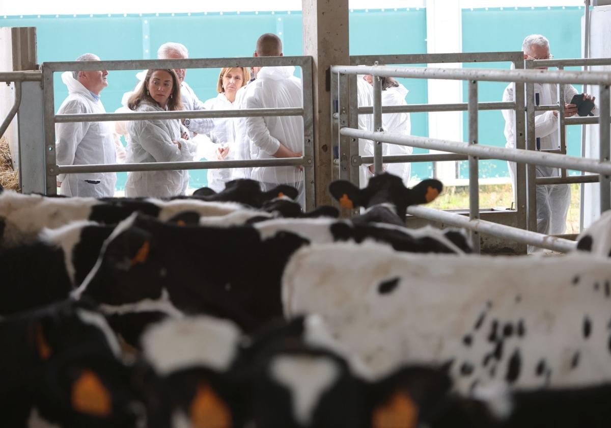 La consejera de Agricultura durante su visita a una explotación de Corrales del Vino, Zamora.