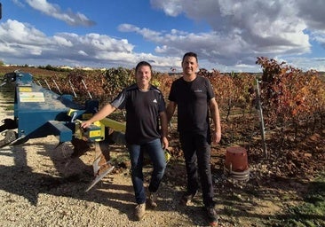 Así es la técnica de descompactación de suelos de la Ribera del Duero