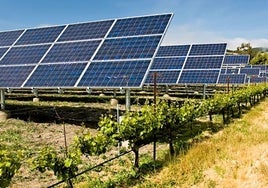 Energía agrivoltaica