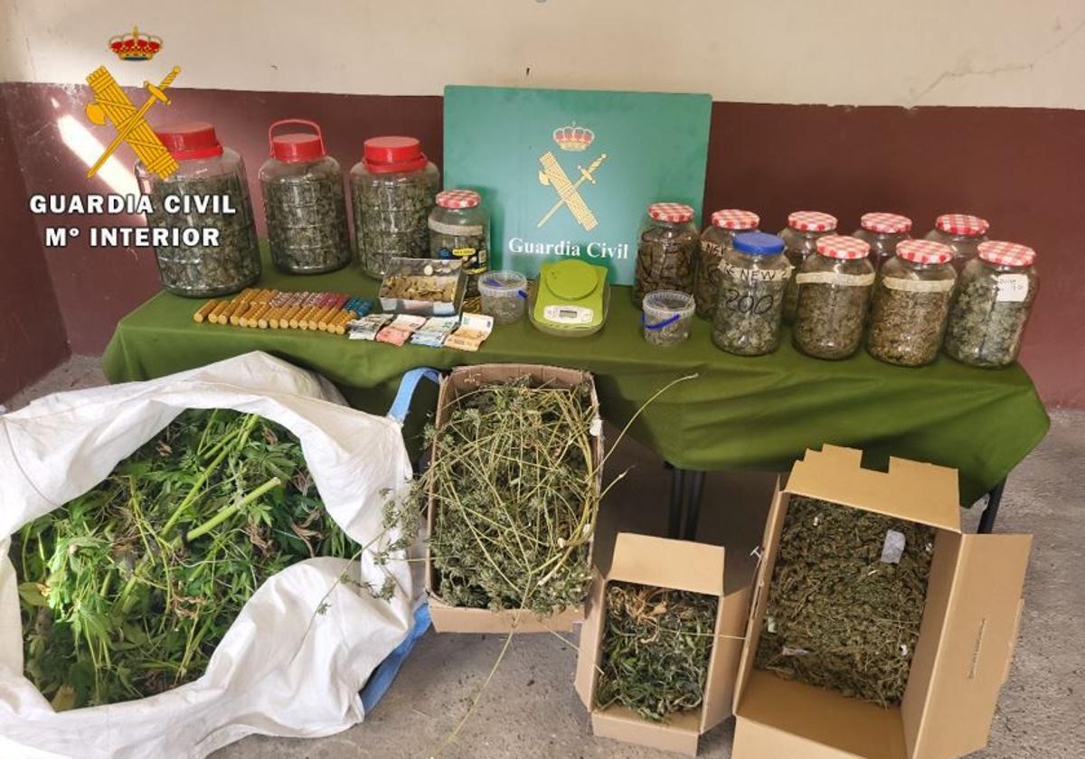 Dos detenidos por una plantación de marihuana y un punto de venta en Tudela de Duero