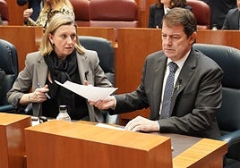 El presidente Alfonso Fernández Mañueco y la vicepresidenta Isabel Blanco, en el hemiciclo autonomico, esta semana.