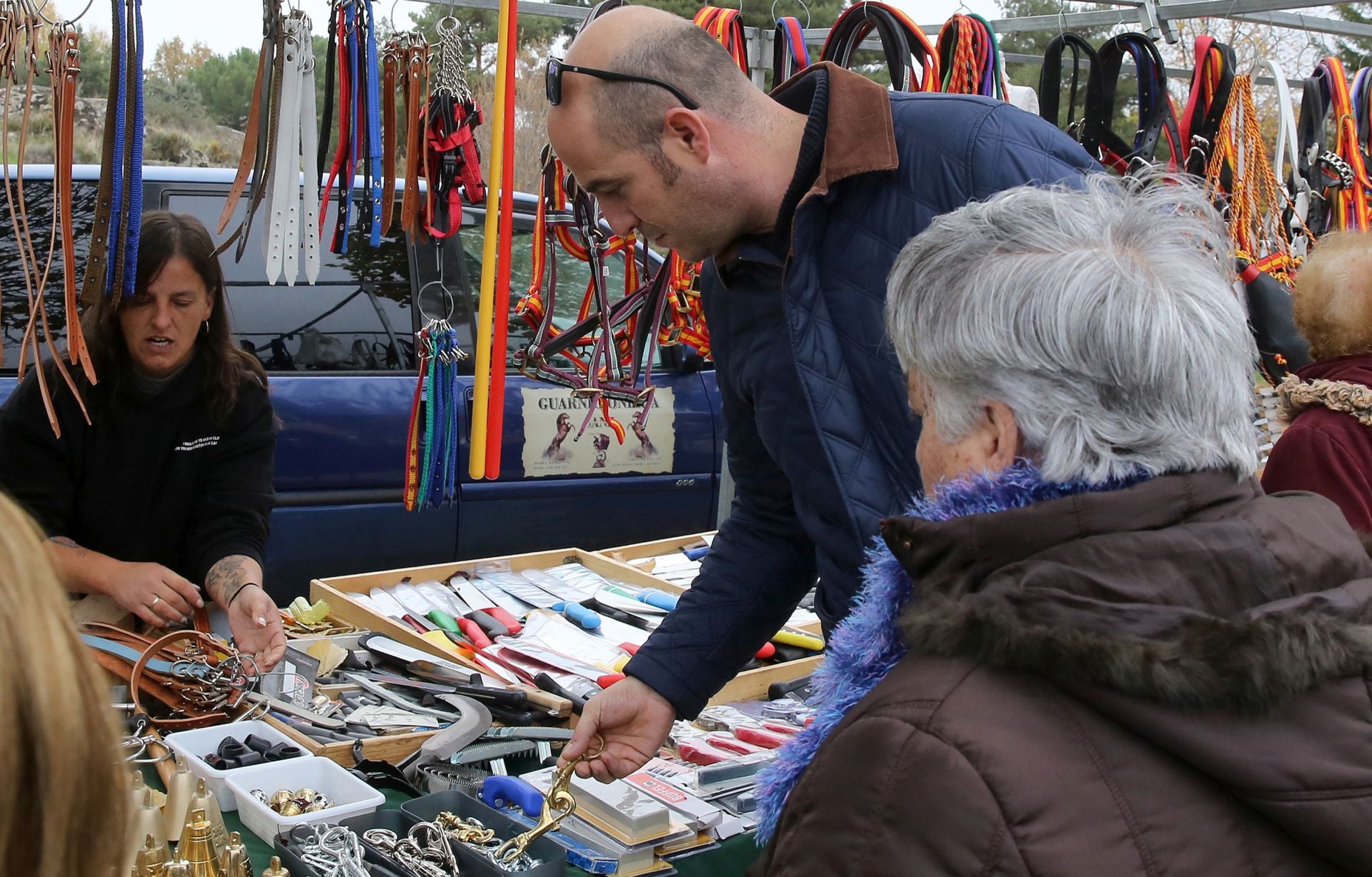 Feria de ganado en Navafría