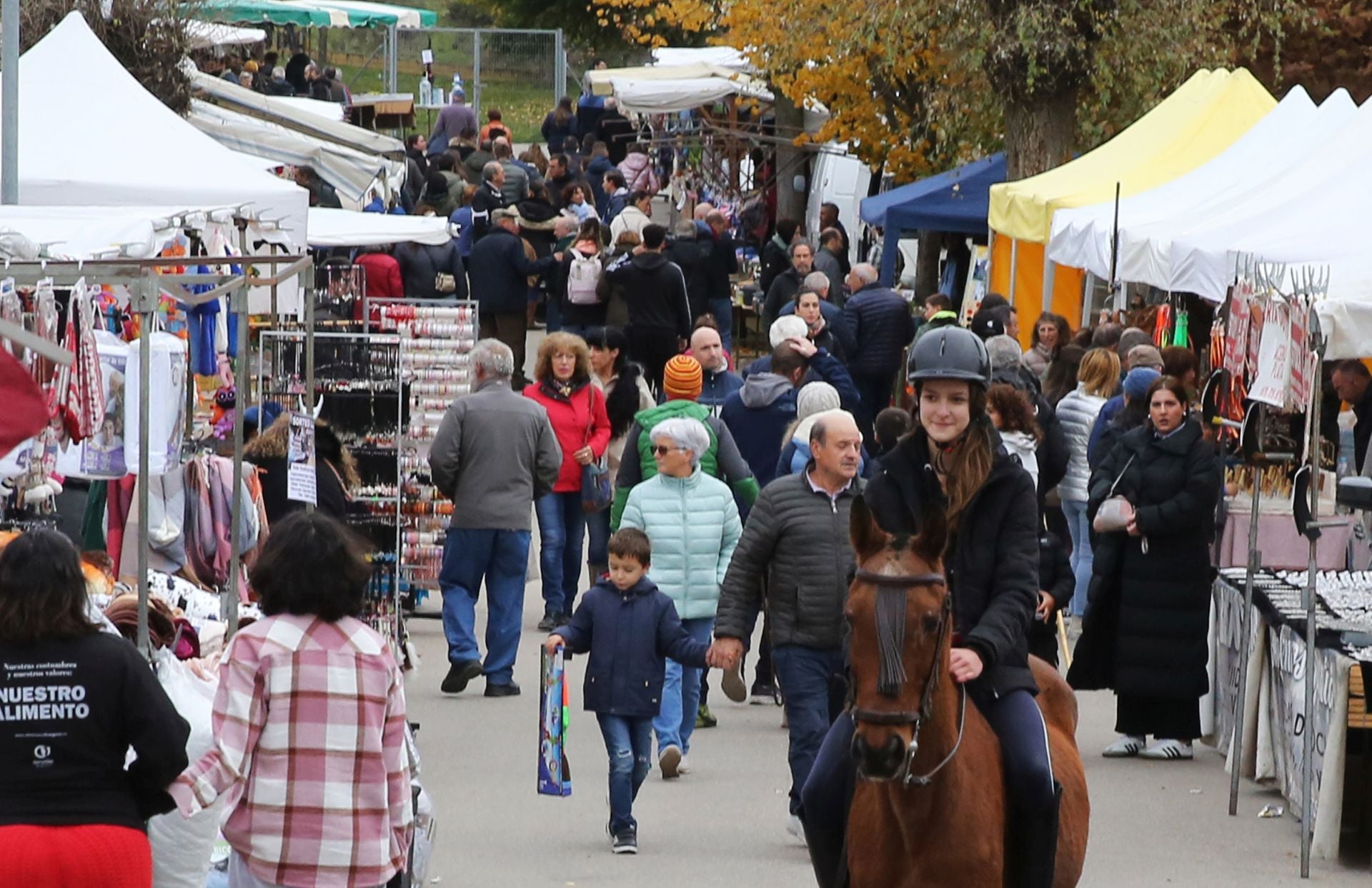 Feria de ganado en Navafría