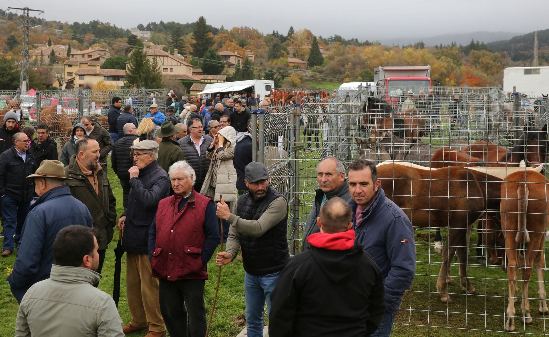 Feria de ganado en Navafría